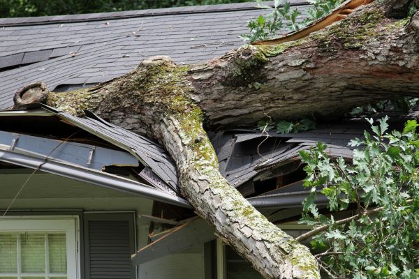 Storm Remediation in Green Valley