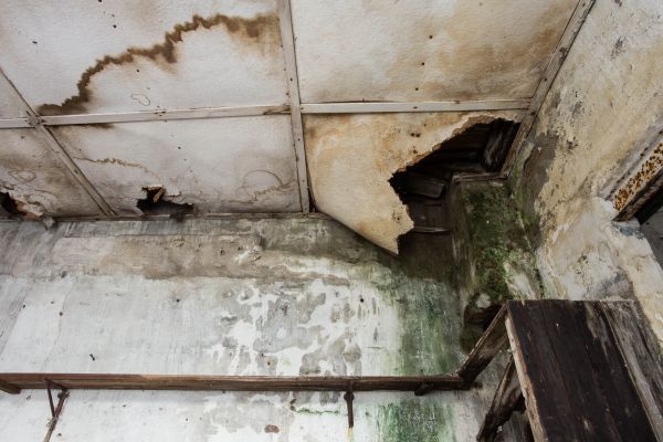 Water Damage Service in Green Valley