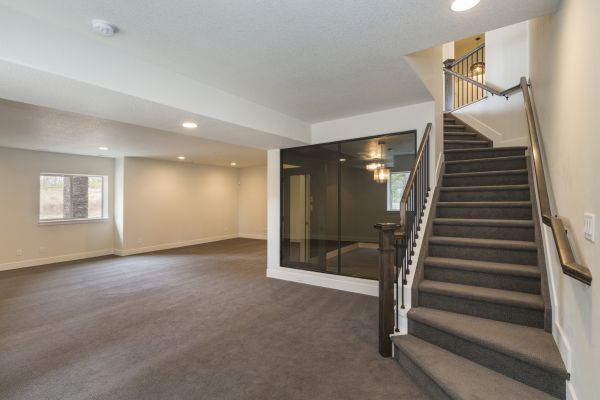 Basement Restoration Service in Green Valley