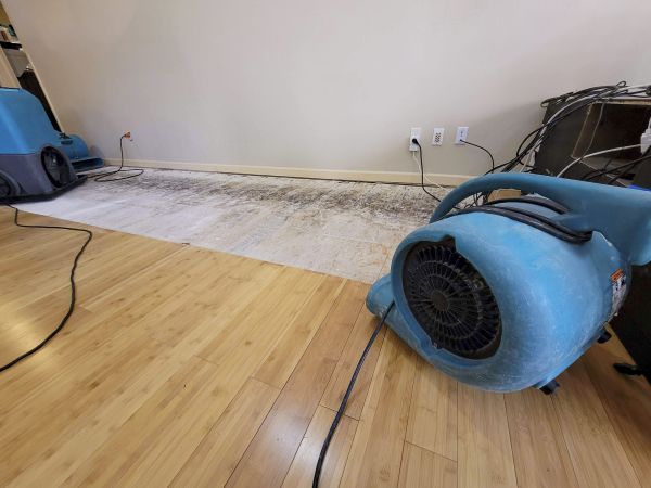 Water Damage Mitigation in Green Valley