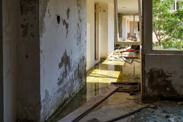 Water Removal Service in Green Valley