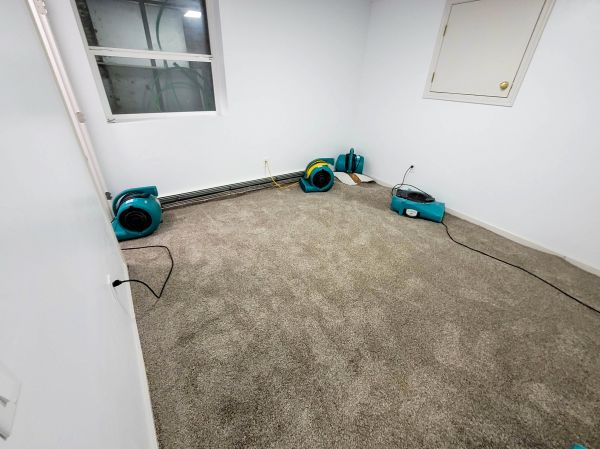 Flood Restoration Service in Green Valley