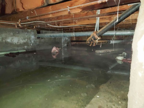 Crawl Space Drying in Green Valley