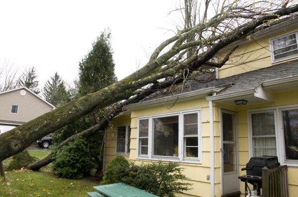 Storm Damage Mitigation in Green Valley